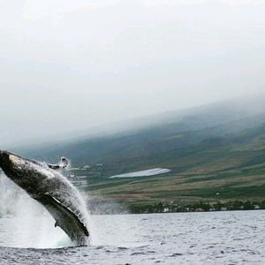 Meet your Posher, Doojin